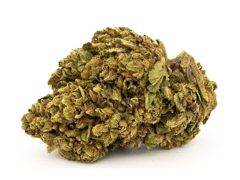 CBD sušina