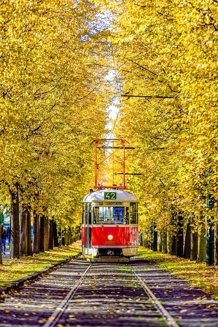 tramvaj ve městě